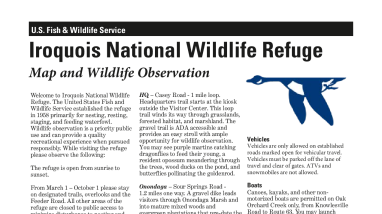 Iroquois NWR Wildlife Observation