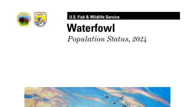 Waterfowl Population Status, 2024