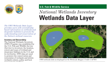 Wetlands Data Layer Fact Sheet