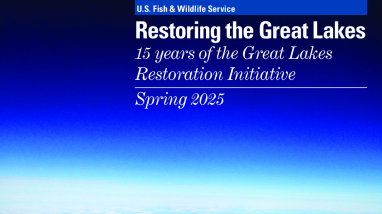 Restoring the Great Lakes: 15 years of the Great Lakes Restoration Initiative
