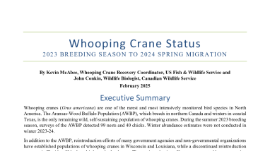 Whooping Crane Status: 2023 Breeding Season to 2024 Spring Migration
