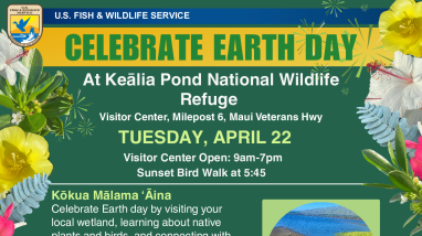 Earth Day Celebration 2025 - Kealia Pond NWR