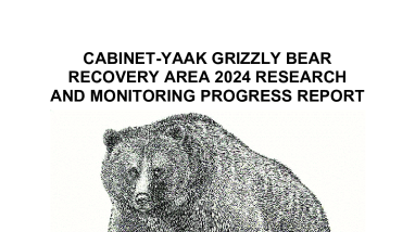 Cabinet-Yaak Grizzly Bear Recovery Area 2024 Research and Monitoring Progress Report