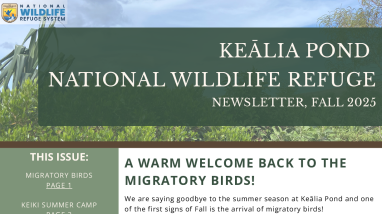  NEWSLETTER - Fall 2025 - Keālia Pond National Wildlife Refuge