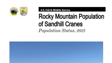Survey of the Rocky Mountain Population of Greater Sandhill Cranes 2025