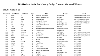 2026 Maryland Junior Duck Stamp Placing Artwork