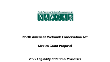 North American Wetlands Conservation Act Mexico Grant Proposal Eligibility Criteria & Processes