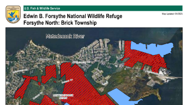 Brick Township Hunt Areas of Edwin B. Forsythe National Wildlife Area