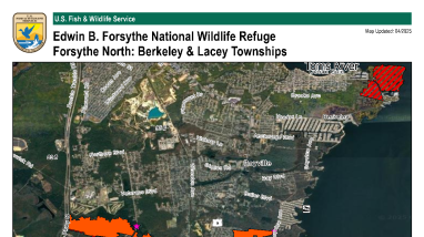 Berkeley & Lacey Hunt Areas, Edwin B. Forsythe National Wildlife Refuge 