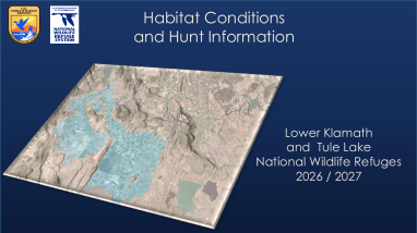 2026_TLLKUK_Habitat_Conditions_Presentation