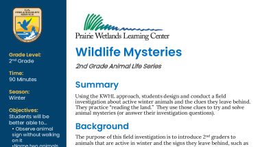 2nd Grade Winter Wildlife Mysteries