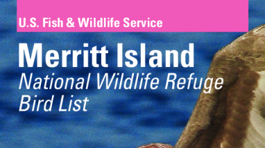 Merritt Island National Wildlife Refuge Bird List
