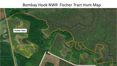 Bombay Hook Fischer Tract Hunt map