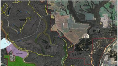 Indian Bay Aerial Map