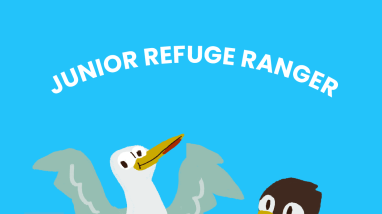 Parker River Junior Ranger Book