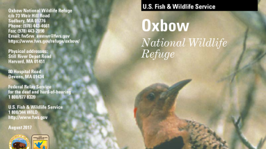 Oxbow National Wildlife Refuge General Brochure