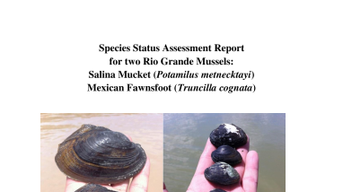 RioGrande_Mussels_SSA Report_v1.1_20230215.pdf