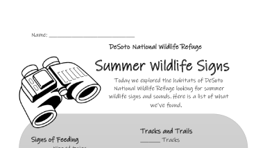 DeSoto Summer Wildlife Signs Worksheet 508.pdf