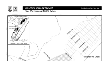 TwoMileBeachDivisionMap.pdf
