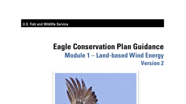 Eagle Conservation Plan Guidance