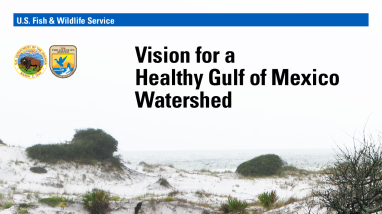 Vision for a Healthy Gulf of Mexico Watershed