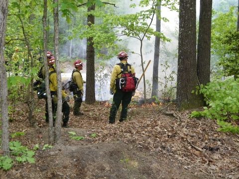 prescribed burns