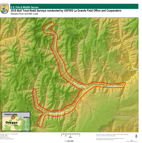 2018 _WA_BullTrout_StreamReachesMap