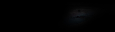very dark image faintly showing the face of a shark
