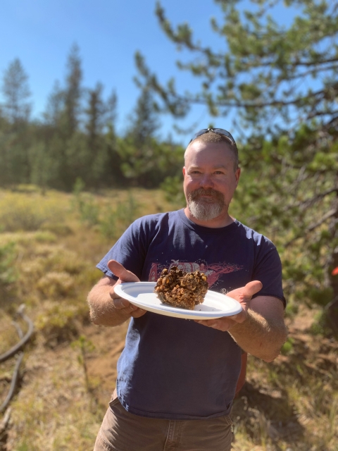  A man holds a bumble bee nest on a paper plate