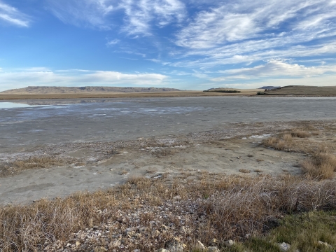 Stewart Lake Summer 2021