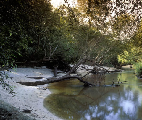 Ochlockonee River