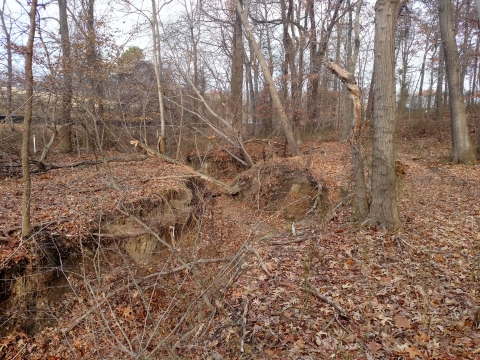 Eroded streambed