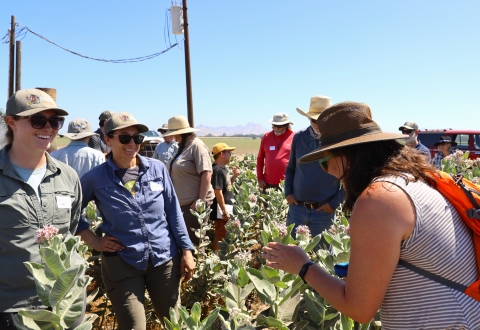 Smiling people stand around a field of milkweed admiring the plants.