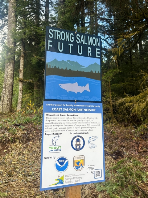 A sign in the forest for Strong Salmon Future and explanation of the Coast Salmon Partnership project at Wisen Creek