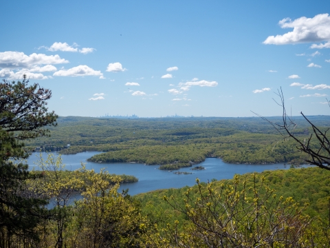 green trees in foreground with an irregularly shaped lake in the middle distance and forest in the background, with tall buildings on the horizon and a blue sky with white clouds