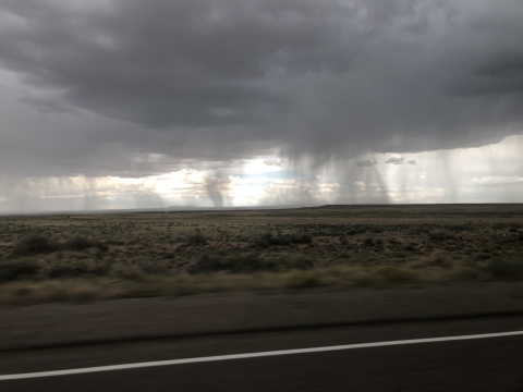 Heavy rains falling over a field
