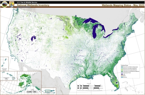 National Wetlands Inventory Status Map May 2025