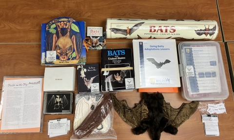Going Batty Education Trunk Materials