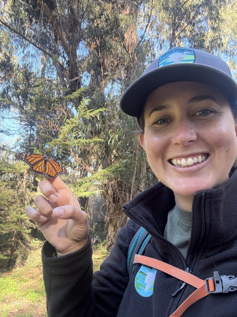Coastal Program Biologist, Colleen Grant, holding a monarch with a radio telemetry transmitter attached to its back