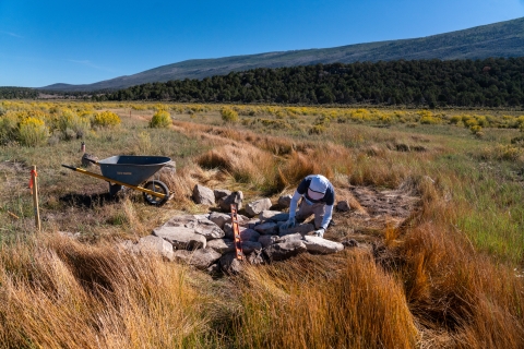 A person builds a flat rock structure in a meadow. 
