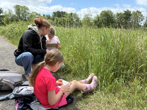 Ridgefield Field Trip Sketching Grass