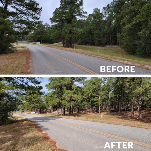 Before and after photos of roadside forest. The before photo shows a thick understory, while the after