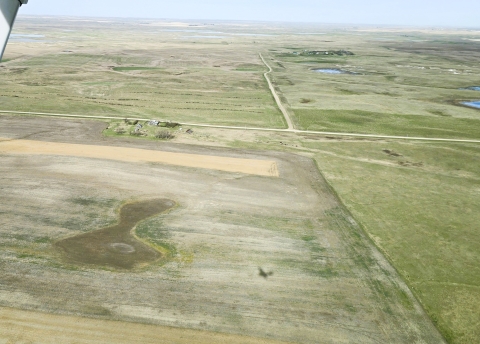 ponded water near Grenora, North Dakota
