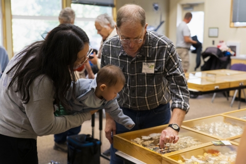 Woman and baby look at a case of insects shown by a volunteer.