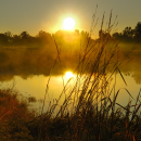 A sunrise over a pond at Occoquan Bay NWR