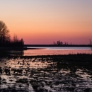 Sunrise over wetland with treeline silhouette in the distance.