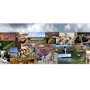 A collage of twenty-six photos of animals, staff doing field work, and landscapes that Austin ecological services field office is responsible for.