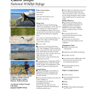 Cabo Rojo NWR Fact Sheets