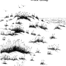 1978 Report of the Barrier Island Work Group