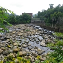 A scenic river flowing amidst rocks and plants in the foreground, creating a serene and natural landscape.